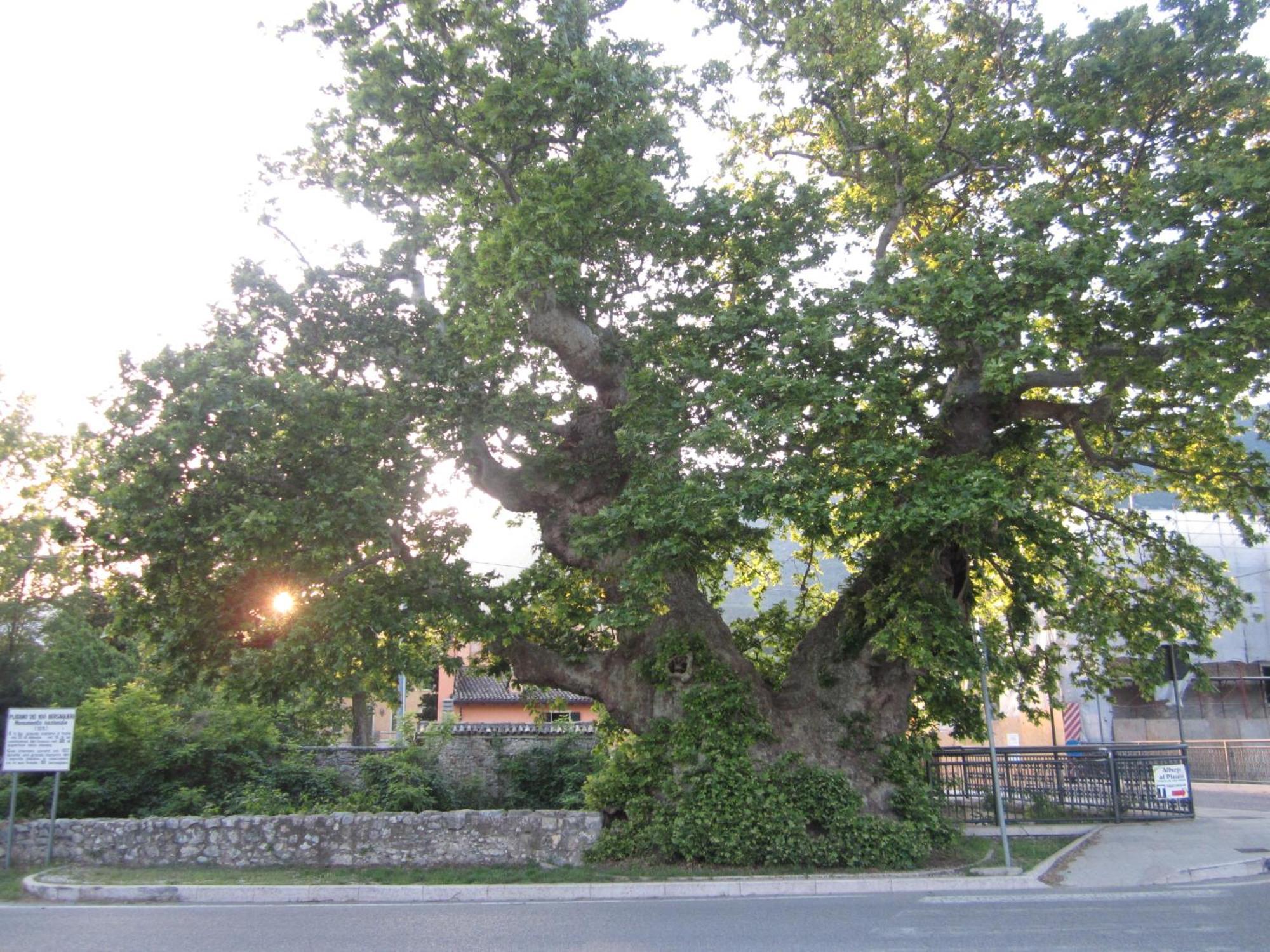 Albergo Al Platano Caprino Veronese Exteriér fotografie